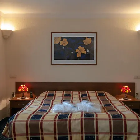 Hotel Castle Vetrov-castle Collection 4*
