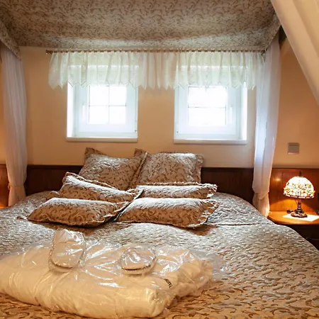 Castle Vetrov-castle Collection Hotel Krasna (Karlovy Vary)